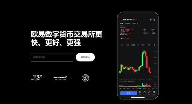 ou艺钱包系统展示图